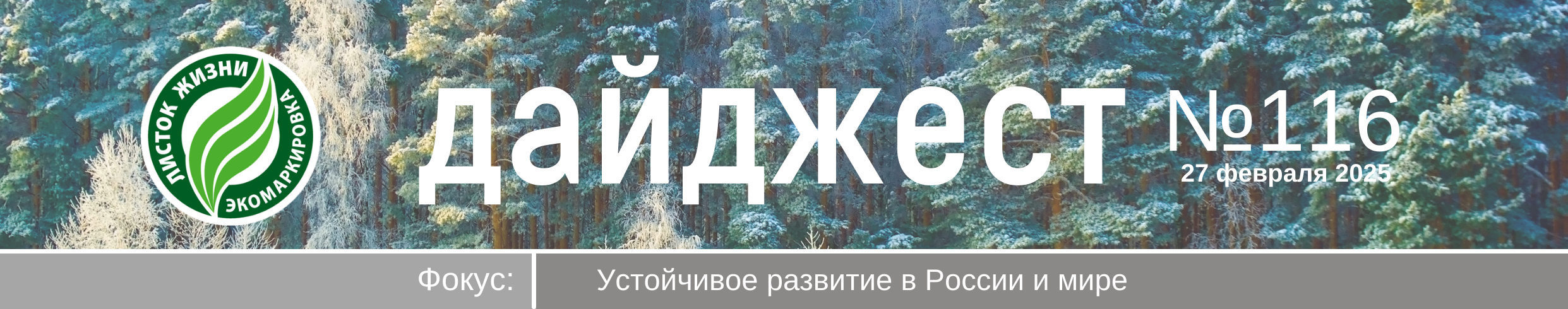 Дайджест «Листок жизни» от 27 февраля 2025